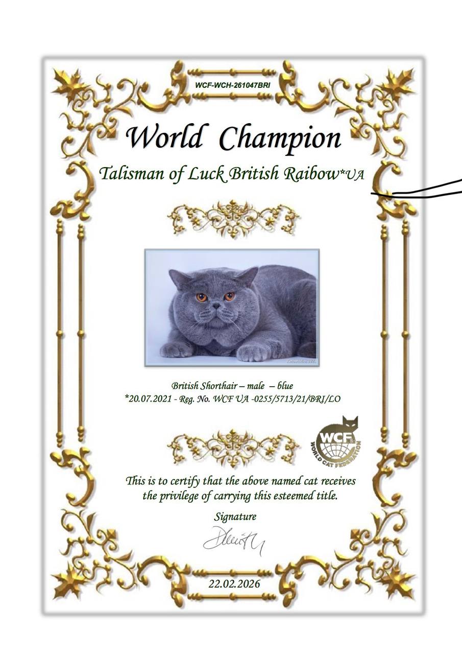WCh Talisman of Luck British Rainbow*UA