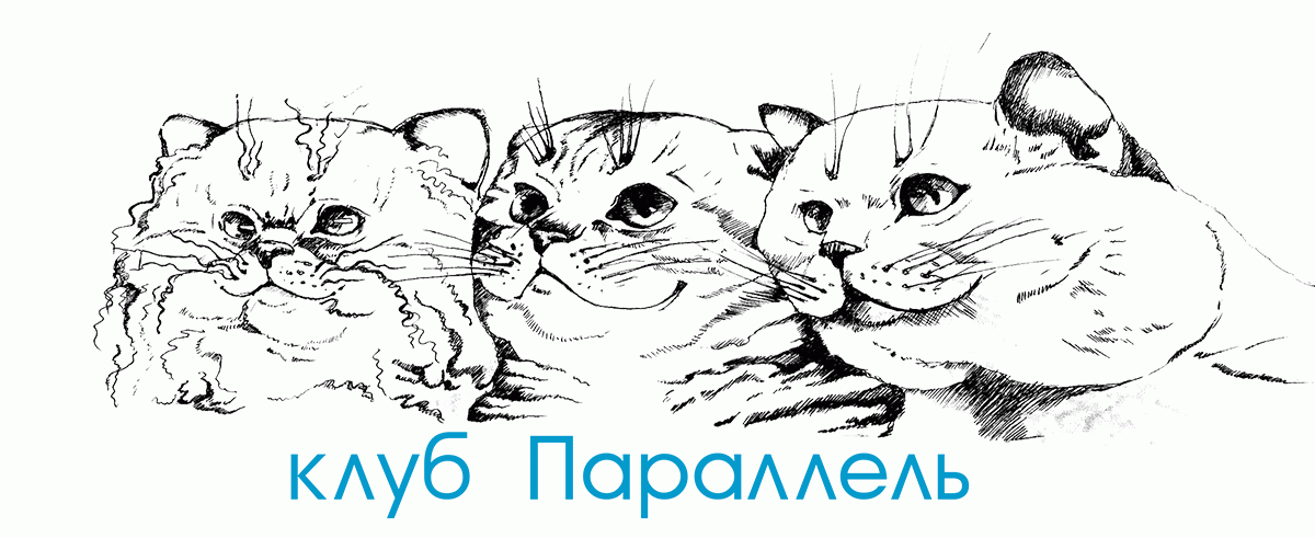клуб любителей кошек Параллель в Воронеже