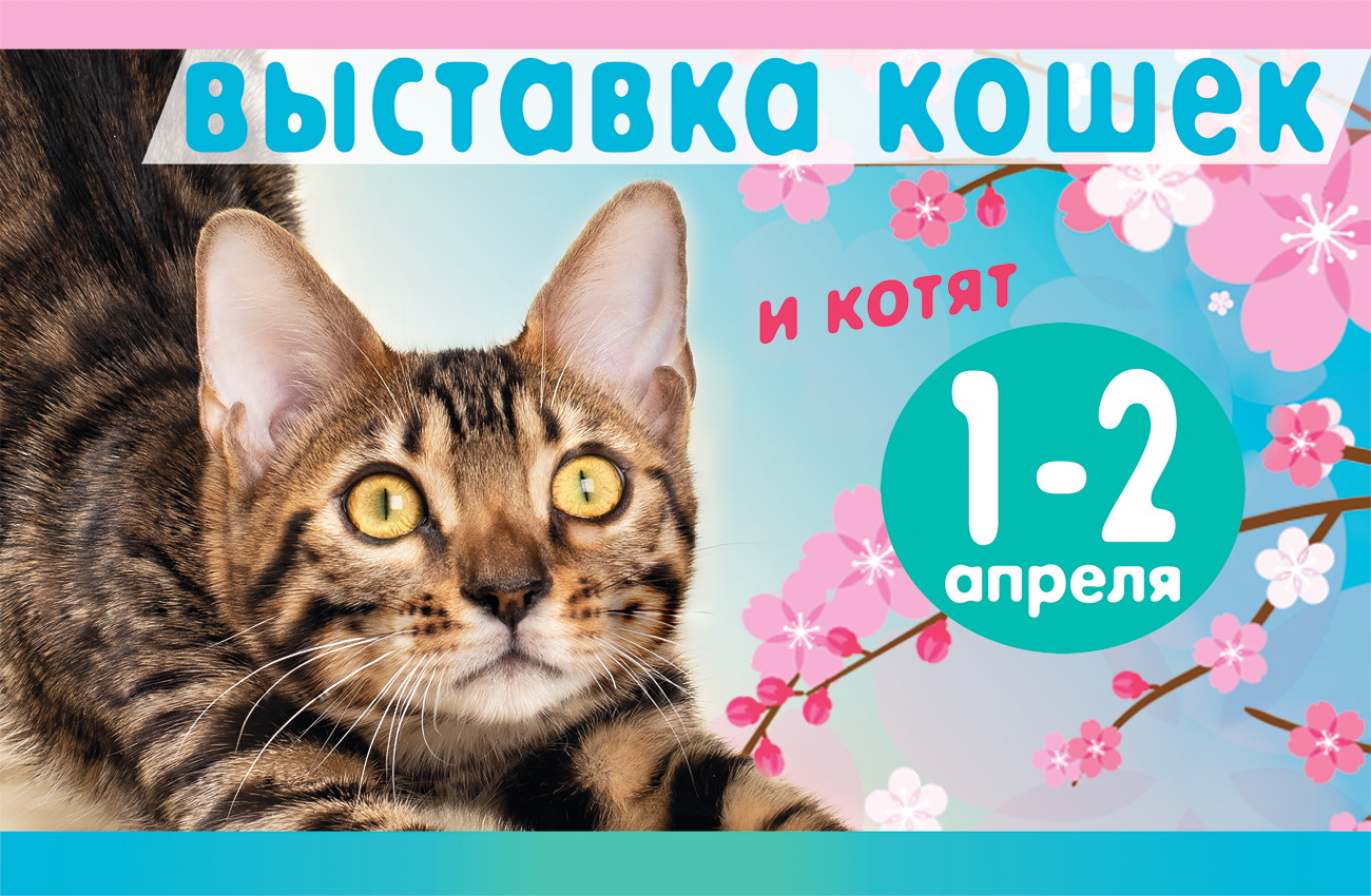 выставка кошек 1-2 апреля 2023 воронеж