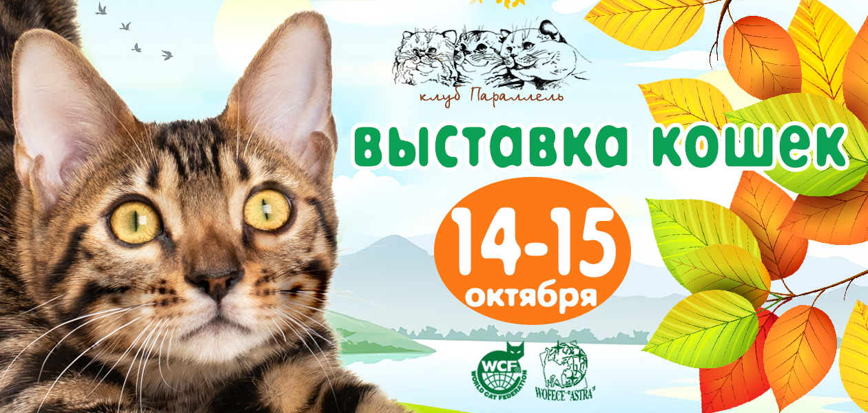 выставка кошек 14-15 октября 2023 воронеж