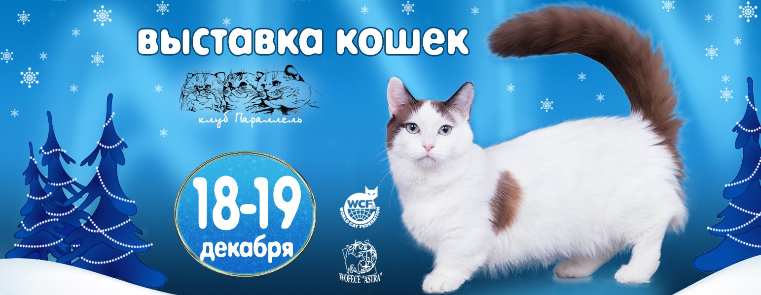 выставка кошек 18-19 декабря