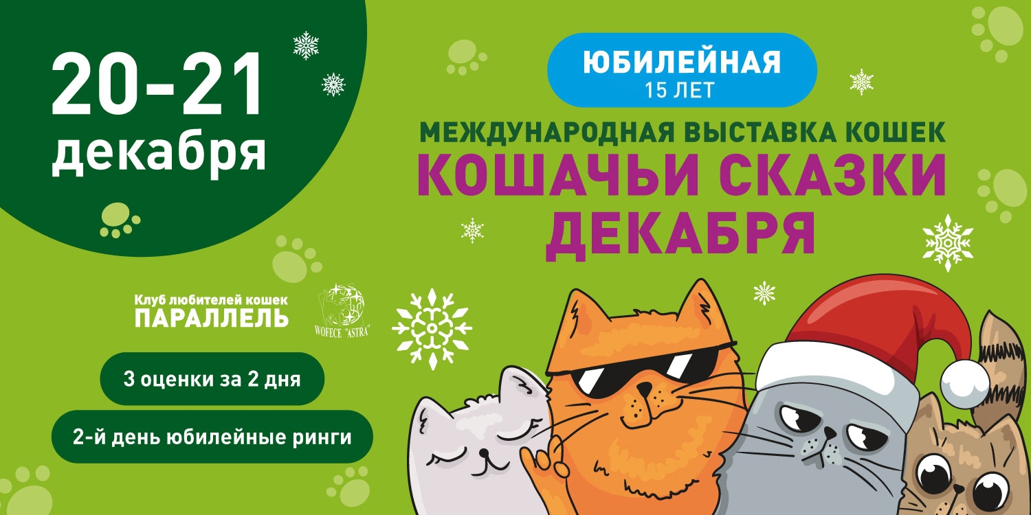выставка кошек 20-21 декабря 2025 в воронеже галерея чижова выставка кошек 20-21 декабря 2025 воронеж гч