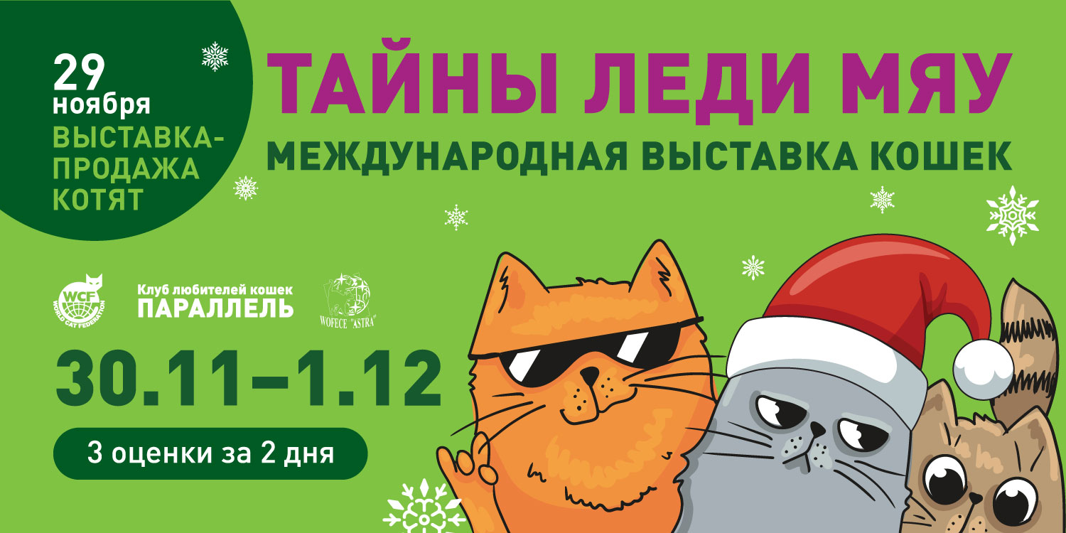 выставка кошек 30 ноября - 1 декабря 2024 воронеж