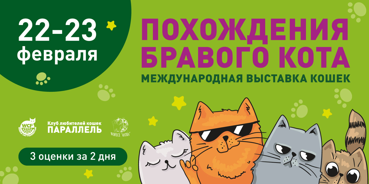 выставка кошек 22–23 февраля 2025 в воронеже выставка кошек 22–23 февраля 2025 воронеж
