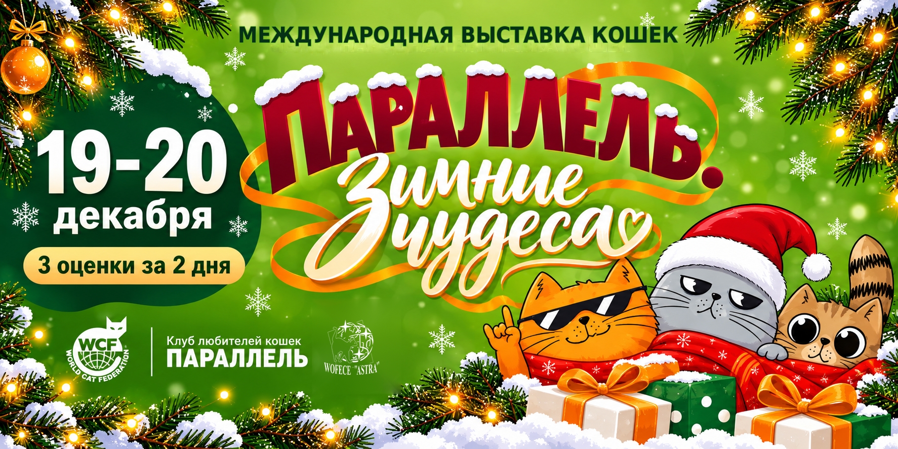 выставка кошек 19-20 декабря 2026 воронеж