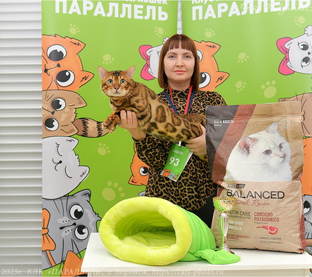 Бенгальский кот Avatar Farida Star